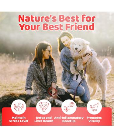 Dog Immunity Booster Drops - Vegan Formula with Vitamins, Antioxidants, and Mushroom Blend - 200ml - Buy Online on GoSupps.com