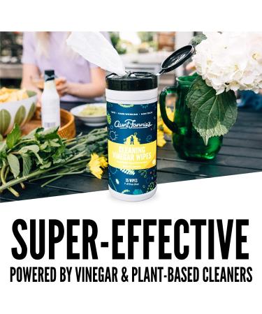 Aunt Fannie's Cleaning Vinegar Wipes - Bright Lemon (35 Wipes) | Eco-Friendly & Effective - Buy Online on GoSupps.com