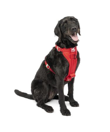 Kurgo Tru-Fit Enhanced Strength Dog Harness - Crash Tested Car Safety Harness for Dogs Red Large