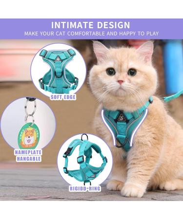 Buy Tikxlafe Cat Dishes with 150 cm Leash Adjustable Polyester Cat Linen Set for Kittens (Blauer See Size S) | International Shipping - Buy Online on GoSupps.com