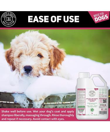 Dog Shampoo For Itchy Skin Antibacterial And Antifungal | Natural Medicated Low Lather Safe Formula | Fast Absorbing and Skin Cooling First Aid | Great For Cuts Grazes Skin Irritation - Buy Online on GoSupps.com