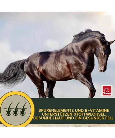 Gastrointestinal Paste Probiotics Brewer's Yeast Horse I Vitamin EI Yeast Culture Intestinal Flora Gastrointestinal - Vitamin I After Colic Skimmer Diarrhea Metabolism Horse 2 x 30 ml - Buy Online on GoSupps.com