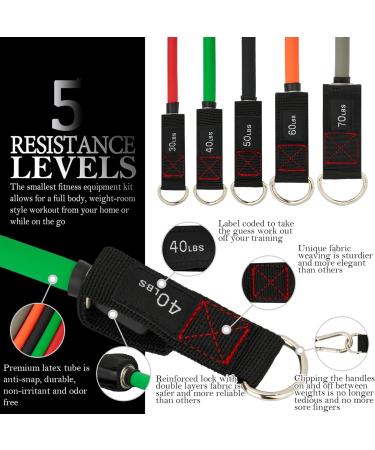 TheFitLife Exercise Resistance Bands with Handles - 5 Stackable Fitness Bands up to 300 lbs - Includes Handles, Ankle Straps, Door Anchor & Carry Bag - Buy Online on GoSupps.com