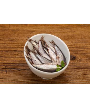 Tealdi Tomato Sauce with Anchovies - Authentic Italian 180g | Buy Online - Buy Online on GoSupps.com