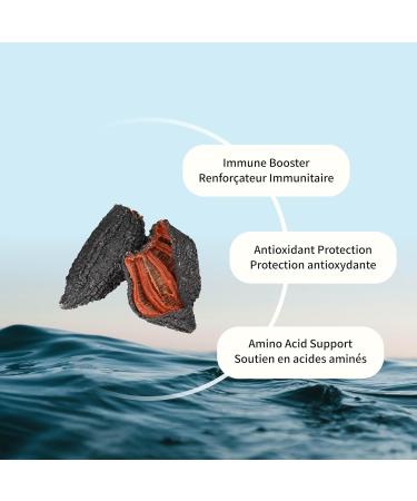 Nova Sea Atlantic Wild Sea Cucumber Supplement Capsules Antioxidant Anti-inflammatory Healthy Energy Supplement with Fucosylated Chondroitin Sulfate Collagen Glycosides Vitamins Minerals 120 count (Pack of 1) - Buy Online on GoSupps.com