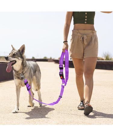 Adjustable Safety Harness for Dogs | Heavy Duty Nylon with 360 Rotary Carabiner & Elastic Buffer - Headrest Style (Black) - Buy Online on GoSupps.com