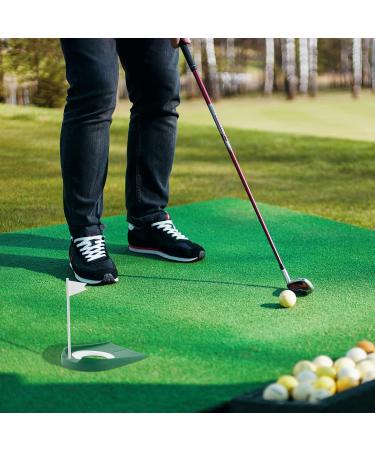 WSERE 2 Pack Golf Putting Cup - Indoor & Outdoor Training Aids for Putting Practice - Regulation Size Putter Hole - Buy Online on GoSupps.com