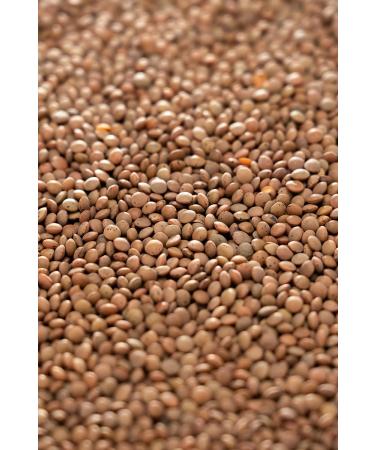 Buy Biojoy Organic Brown Lentils 2.5 kg - Dried Whole Mountain Lentils Additive-Free - International Shipping - Buy Online on GoSupps.com