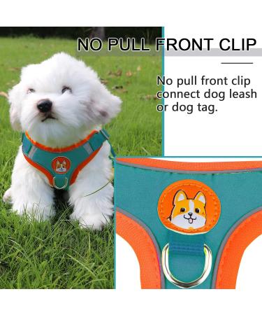 Rennaio No Pull Dog Harness & Leash Set for Small/Medium Dogs - Adjustable Ultra Comfortable with Puppy Dishes & Clips - Seeblau S - Buy Online on GoSupps.com
