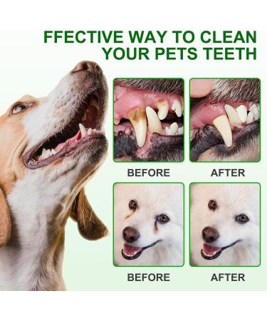 Ear Cleaner Finger Wipes - Pet Teeth Cleaning Wipes for Dogs & Cats - Dental Wipes for Reducing Plaque & Tartar Cleaning Ear and Eye Dental and Gum Care Finger Pet Wipes - Buy Online on GoSupps.com