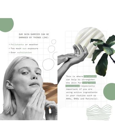 Pai Skincare Organic Instant Kalmer Serum | Natural Vegan Sensitive Skincare - Sea Aster & Schisandra (1 fl oz - Buy Online on GoSupps.com