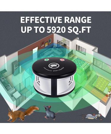 Careland Ultrasonic Repellers 4-in-1 Rodent Repellent | Indoor Pest Control | Squirrel, Mouse, and Mice Repellent | Plug-in Home Defense (Black) - Buy Online on GoSupps.com