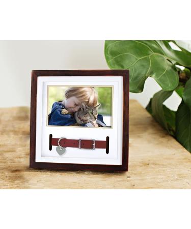 Pearhead Pet Collar Keepsake Picture Frame - Espresso Collar Frame - Buy Online on GoSupps.com