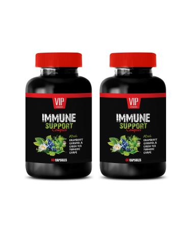 antioxidant Organic Supplement - Immune Support Complex - Natural Herbal Formula - Works Fast - Turmeric Green Tea GRAVIOLA - graviola Capsules Organic - 2 Bottle (120 Caps)