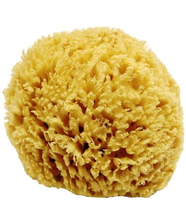 Unbleached Honeycomb Natural Sea Sponge - 100% Natural  Strong  Durable  Hypoallergenic -for Children and Adults - Used in Bath  Shower  Cleansing  Exfoliating  Art  Pets  Gift 5   to 6