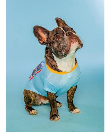 Doggy Parton Blue Dolly & The Mighty Fine Band Shirt XS - X-Small Blue (22120725) - Buy Online on GoSupps.com