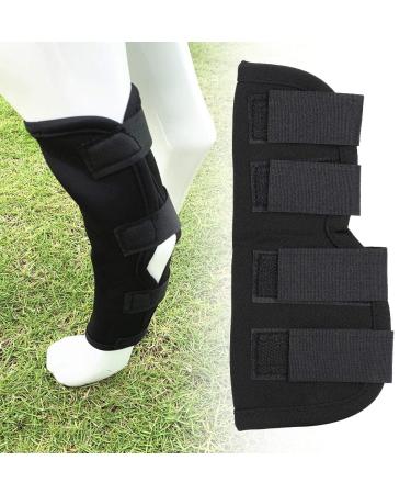 Stability Support Dog Leg Support Neoprene Pet Knee Guard Stabilize Arthritis for Dog Leg Guard(Black S) - Buy Online on GoSupps.com