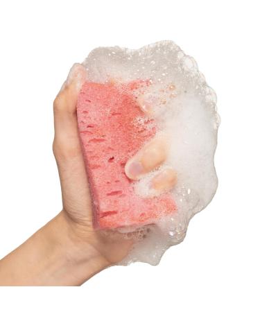 Buy Rose Bulgarian Exfoliating Soap Sponge | Natural Oil Cleansing Bar & Gentle Exfoliator - Buy Online on GoSupps.com