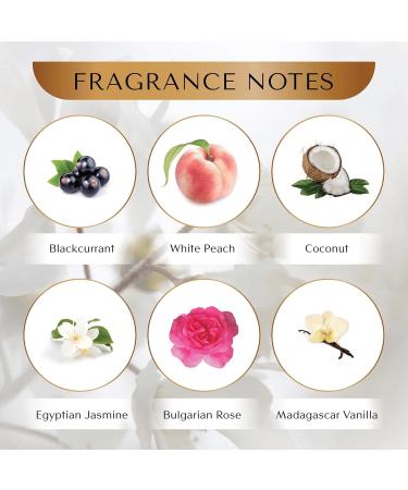 Empire ETHEREAL Inspired by Mancera Black Vanilla - Luxurious Blend of Madagascar Vanilla Bulgarian Rose & White Musk - Long-Lasting Men's Designer Cologne for Day & Evening Wear - Buy Online on GoSupps.com