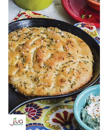 Jiva Organic Fennel Seeds 1.75 lb Bulk Bag - Whole, Non-Irradiated, Non-GMO Seeds (Foeniculum Vulgare) - Raw Quality - Buy Online on GoSupps.com