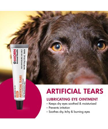 Veterinary-Approved Akorn Artificial Tears for Cats and Dogs | Soothes Dry & Irritated Eyes | 3.5g Tube - Buy Online on GoSupps.com