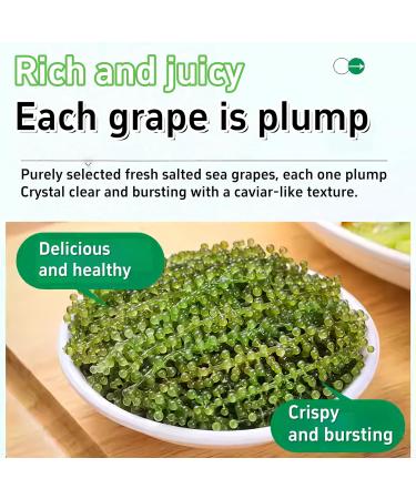 Raisins de mer (100 g x 3 paquets) - Algues d shydrat es Umibudo caviar vert plats d'accompagnement cornichons instantan s l gumes ingr dients chauds algues lato raisins de mer pour manger un - Buy Online on GoSupps.com