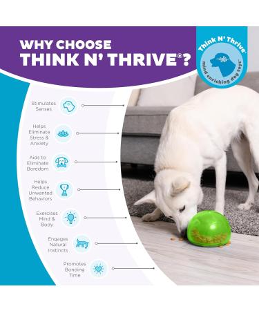 Planet Dog Orbee-Tuff Snoop Interactive Treat Dispensing Dog Toy - Large Green - Eco-Friendly Engaging Play for All Breeds - Buy Online on GoSupps.com