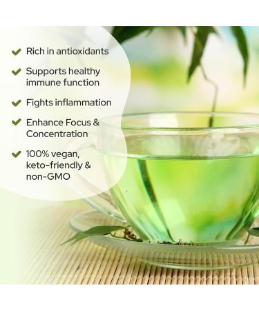 La Republica Instant Green Tea with Reishi Chaga Lion's Mane Cordyceps Turkey Tail Maitake for Focus (70 Servings) - Buy Online on GoSupps.com