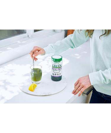 Green Foods Green Magma 10.6 Ounce - Organic Green Barley Grass Powder - Buy Online on GoSupps.com