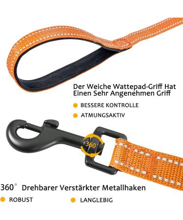Demigreat Reflective Dog Training Leash - 3m/5m/10m/15m/20m with Padded Handle - Durable Long Line for Small to Large Dogs - Perfect for Training & Outdoor Use - Buy Online on GoSupps.com