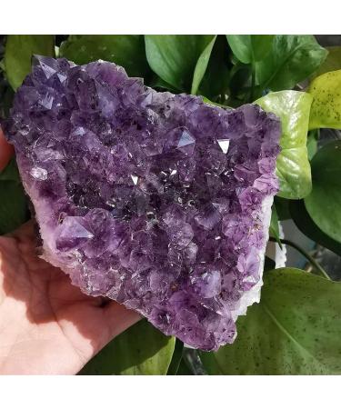 Natural Crystal Rough 1pc Natural Amethyst Quartz Crystal Cluster Specimen (Color : 850g) - Buy Online on GoSupps.com