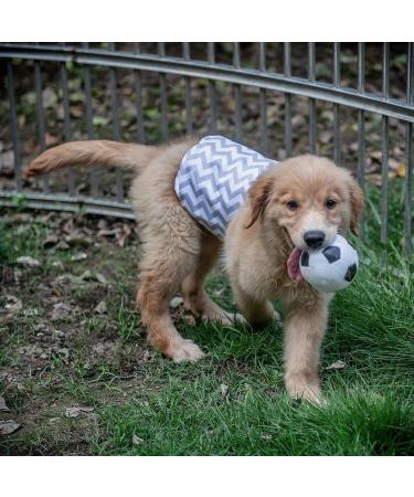 Cutebone Male Washable Dog Diapers Belly Bands - 3 Reusable High-Suction Wraps with Velcro Fastener (DM06M-DE) - Denim Totenkopf & Stripe - Fits 35.5-43cm - Buy Online on GoSupps.com