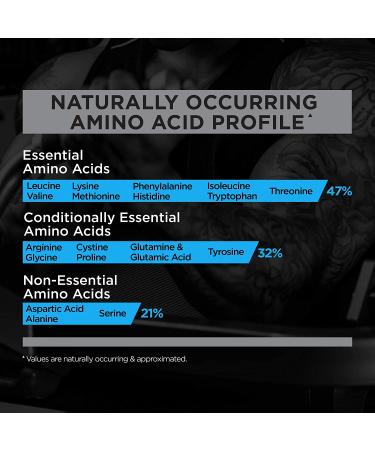 R1 Whey Blend Vanilla Ice Cream - 28 Servings - Buy Online on GoSupps.com