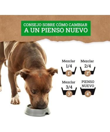 Yerbero Nature Adult Premium Food for Dogs 10 kg - Buy Online on GoSupps.com