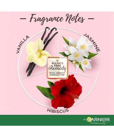 Garnier Whole Blends Sulfate Free Remedy - Hibiscus and Shea | Revitalize and Nourish Your Hair - Buy Online on GoSupps.com