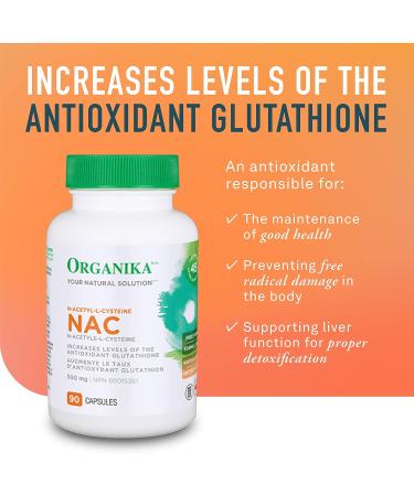 Organika Milk Thistle 250 Mg 220 vcaps + Organika NAC (N-Acetyl-L-Cysteine) 500mg 90 caps Bundle 220 Count (Pack of 1) Seed + Levels 90 caps - Buy Online on GoSupps.com