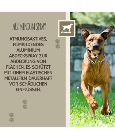 Silver Spray for Animals | Wound Healing & Protection for Dogs Cats & Pets | 100ml Aluminum Wound Disinfectant Spray - Buy Online on GoSupps.com