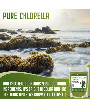 XPRS Nutra Organic Chlorella Powder - Broken Cell Wall Chlorophyll for Immunity - Vegan Friendly - 4oz - Buy Online on GoSupps.com