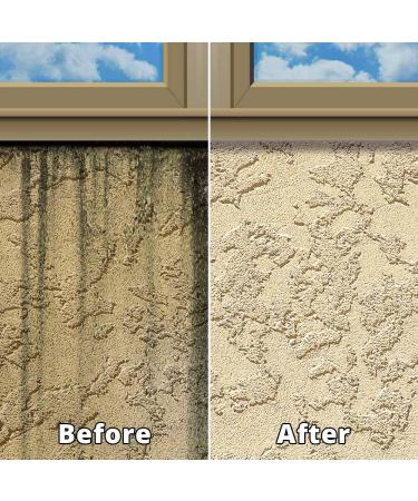 Rejuvenate 32oz Dual Bottle Outdoor Window Cleaner & Mold Stain Remover with Hose-End Attachment - Buy Online on GoSupps.com