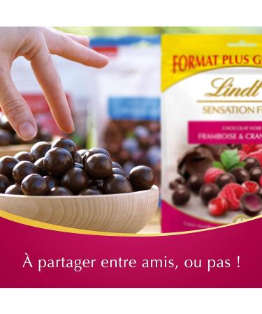 Lindt Fruit Sensation Dark Chocolate Raspberry & Cranberry - 160g - Buy Online on GoSupps.com