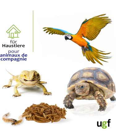 UGF Premium Dried Mealworms 1kg - Healthy Insect Snacks for Birds Reptiles & Small Pets - No Preservatives or Dyes - Buy Online on GoSupps.com