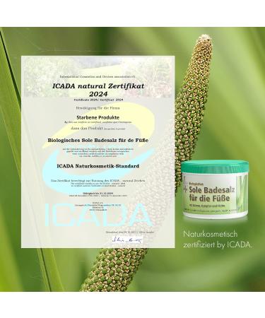 Cristinenmoor 500g Biological Sole Swimming Salt - 100% Natural Foot Care for Dryness Sweating & Odor | ICADA Certified - Buy Online on GoSupps.com