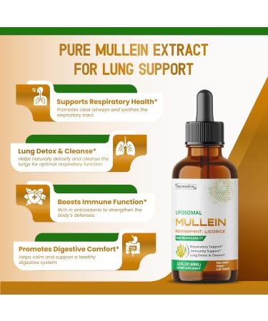 Mullein with Peppermint Ginger & Licorice Advanced Formula Respiratory Support Immunity Support & Lung Detox & Cleanse* Net Wt. 2.0 fl oz (60ml) 60 ml (pack of 1) - Buy Online on GoSupps.com