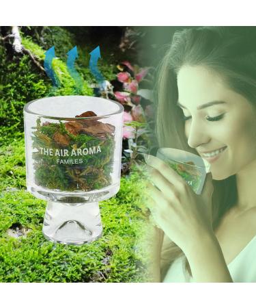 Moss and Pine Plant Home Decor Long-Lasting Essential Oil Diffuser Multiple Scent Options Aromatherapy Suitable for Home Bedroom Office Car Seeking Relaxation. (osmanthus)