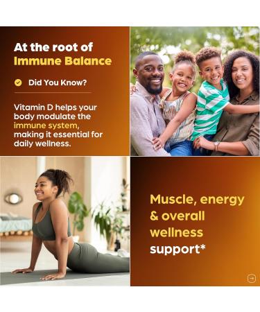 Sandhu's Vitamin D3 K2 Magnesium 5000 IU 120mcg K2 Capsules 120 Count (Pack of 1) | with VIT B6 Zinc & Quercetin | D3K2 Supports Superior Absorption Energy Immune Muscle Health for Men & Women 5000 IU Capsules 120 Coun  - Buy Online on GoSupps.com