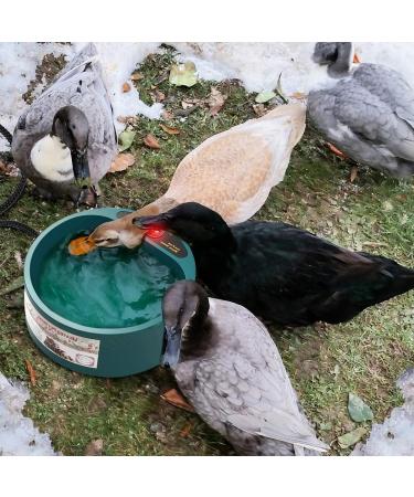 NAMSAN Outdoor Heated Pet Bowl - Ideal for Cats, Chickens, and Squirrels - Keep Your Pets Hydrated in Sub-Freezing Temperatures - Buy Online on GoSupps.com
