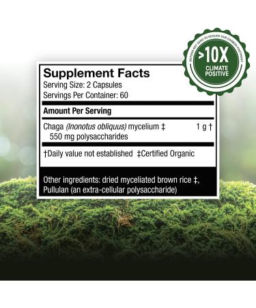 Fungi Perfecti Chaga Capsules - 120 Vegetarian Capsules for Immune Support - Buy Online on GoSupps.com