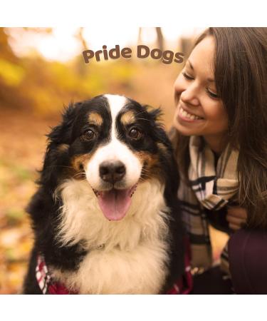 Premium Beef Liver Chew Snack for Dogs - 1000g | 100% Beef | Made in Germany | Odorless Bag - PrideDogs - Buy Online on GoSupps.com