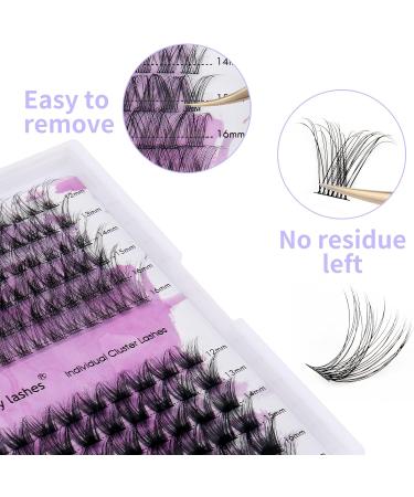 D Curl Cluster Lashes 0.07mm 12-16mm C4+ZW Mixed DIY Lash Extensions | Reusable Soft Wispy Individual Clusters | RR-12-16mm Classic/Mega-0.07D - Buy Online on GoSupps.com