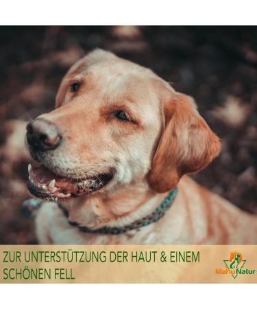 Mahu Nature Dorschlebertran for Dogs & Cats 1L | Natural BARF Oil with Omega 3 (EPA + DHA) & Vitamins | Eco-Friendly Packaging - Buy Online on GoSupps.com